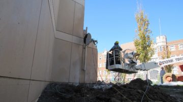 Selective Demolition